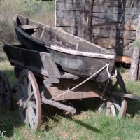 на территории  археологического музея-заповедника :: Любовь Сахарова
