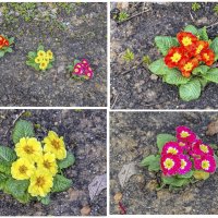 Апрельские :: Валерий Иванович Апрельские :: Валерий Иванович