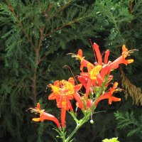 Мармарис июнь Турция :: Елена Шаламова