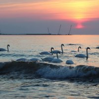 Солнце как китайский фонарик :: Августина 