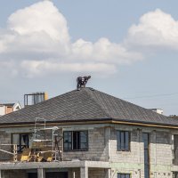 Крышеделы :: Коля Лукашов