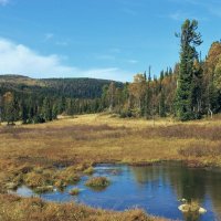 Осенний пейзаж :: Сергей Швечков