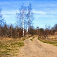 Моя Смоленщина (репортаж из поездок по области). :: Милешкин Владимир Алексеевич 