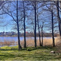 Весенний пейзаж. :: Валерия Комова