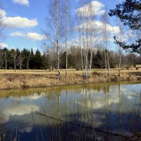 Весна пришла :: Aleksandr Gal