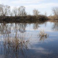 Весенние воды 3 :: Елена Пономарева Весенние воды 3 :: Елена Пономарева