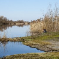 Весенние воды 5 :: Елена Пономарева Весенние воды 5 :: Елена Пономарева