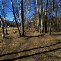 Настоящий апрель :: Андрей Лукьянов Настоящий апрель :: Андрей Лукьянов
