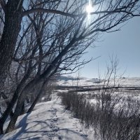 Звезда Жосалы :: Андрей Хлопонин