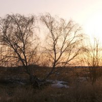 В закатном свете. :: сергей ермошкин В закатном свете. :: сергей ермошкин