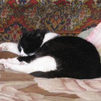 После прогулки :: Людмила Смородинская