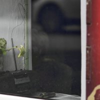 Отражение :: Юрий Гайворонскiий