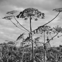 Название отсутствует :: Денис Безногов