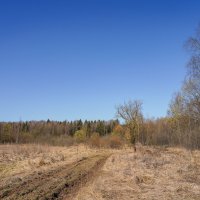 В поле... :: Владимир Жданов