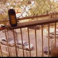 110 (138) :: СТРЕН 