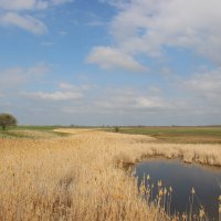 Весна. :: Виктор 