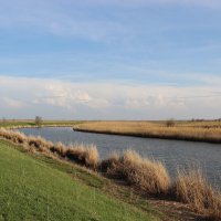 Вечер у реки. :: Виктор 