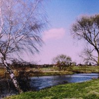 Апрельская красота :: Людмила Смородинская Апрельская красота :: Людмила Смородинская