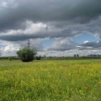 Лето :: Anna Ivanova