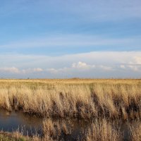 У реки. :: Виктор 