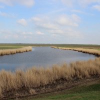 Донские виды. :: Виктор Донские виды. :: Виктор