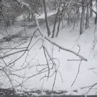 Зима пришла 6 апреля :: Елена Семигина