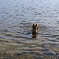 А купаться, пожалуй, рано... :: Ольга А купаться, пожалуй, рано... :: Ольга