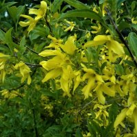 ,,, :: Сергей Тимоновский ,,, :: Сергей Тимоновский