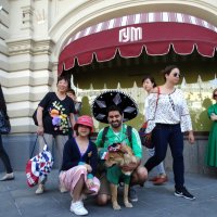 Из жизни сомбрер :: svk *