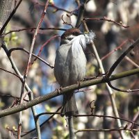 Все в дом :: Зоя Мишина Все в дом :: Зоя Мишина