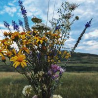 Радость :: Андрей Хлопонин