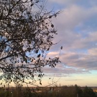 Небеса :: Елена Семигина