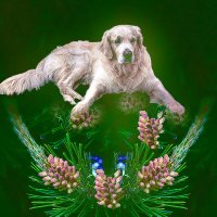 Билли кайфует :: Владимир Кроливец