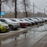 Засыпало снегом в апреле :: Александр Синдерёв