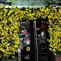 Кафе :: Юрий Гайворонскiий