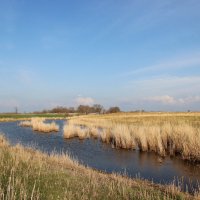 Краски Весны. :: Виктор 