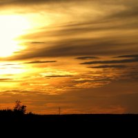 Природа! :: жанна нечаева Природа! :: жанна нечаева