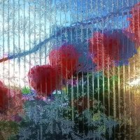 В солнечных лучах... :: Владимир Шошин В солнечных лучах... :: Владимир Шошин