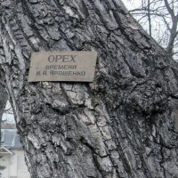 Кисловодск :: Gen 