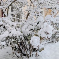 начало апреля  4 :: Александр Прокудин