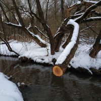 Вдоль да по речке :: Андрей Лукьянов Вдоль да по речке :: Андрей Лукьянов
