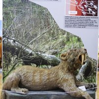 Саблезубые тигры :: Любовь Сахарова Саблезубые тигры :: Любовь Сахарова