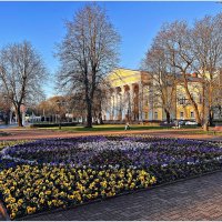 Клумба у драмтеатра. :: Валерия Комова
