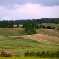 Сибирские просторы. :: nadyasilyuk Вознюк Сибирские просторы. :: nadyasilyuk Вознюк