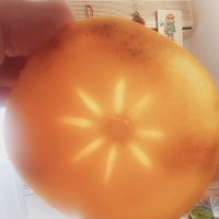 12  КЛОС (930) :: CLOSE WAYS ALL