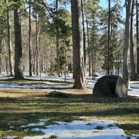 Зеленогорск. Северная Ривьера :: Наталья Герасимова