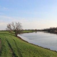 **** :: Виктор **** :: Виктор