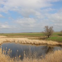 **** :: Виктор **** :: Виктор