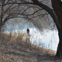 На пруду 29.03.2025. :: Oleg4618 Шутченко На пруду 29.03.2025. :: Oleg4618 Шутченко