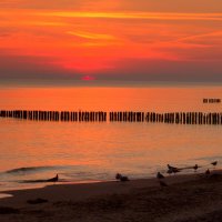 Встречая солнце :: Юрий. Шмаков